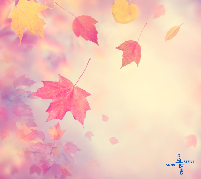 Autumn@DBC*Find out more