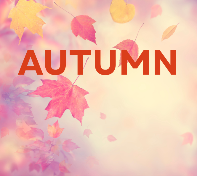 AUTUMN (1)