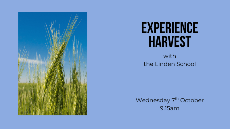 Experience Harvest