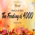 The feeding of 4000